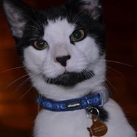 wendy_alldredgesteib avatar