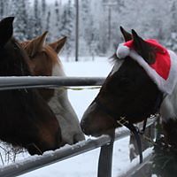 sandy_davis_2240 avatar