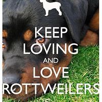 susan_stuart_9066 avatar