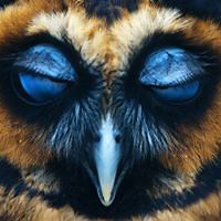 hot_injection avatar