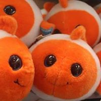 nancy_trier_skoke_shevitz avatar