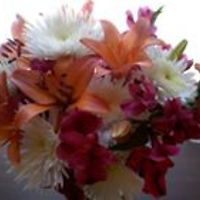 audrey_ferragamo avatar