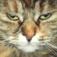 valerie_trumble avatar