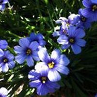 54add1c35d5ef avatar