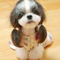 suzanne_howorth avatar