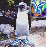 celia_mckenna avatar