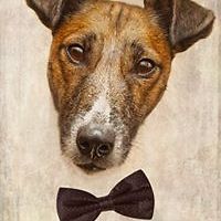 egor_gordeev1 avatar