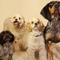 miriam_hughes avatar