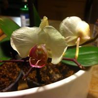 barbara_brown_3994885 avatar