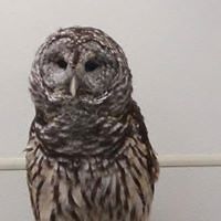 hates_timeline1978 avatar