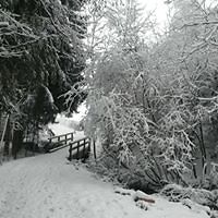 bessere_welt_5 avatar