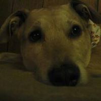 donna_martin_37017794 avatar