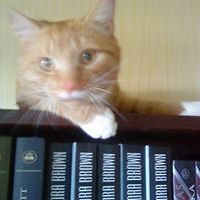 54aff44a99062 avatar