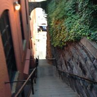 mariontitusville avatar