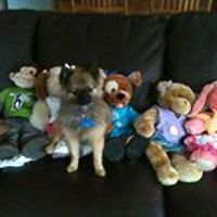 christine_bowen_54 avatar