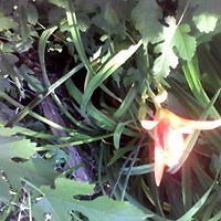 julie_meyer_9235 avatar