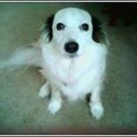 jennifer_cavenee_9 avatar