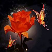 angela_stancroff avatar