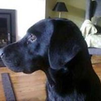 claudia_starbuck avatar