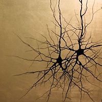 megan_coopersova avatar