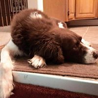 54b31a88d236c avatar