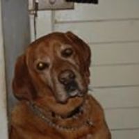 stephen_mani_1 avatar