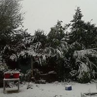 mariette_folgers avatar