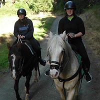 kirstie_oriley avatar