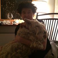 ola_komornicka1 avatar