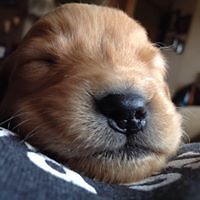 rebecca_wewer avatar