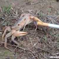 wendy_bradford1 avatar