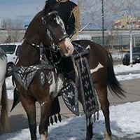 linda_hanselman avatar