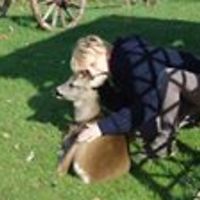 arjeta_celinamakasqi avatar