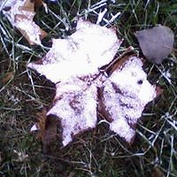 zeljka_radickrznaric avatar