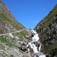 florian_tauber avatar