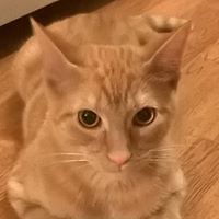 54b5640968183 avatar