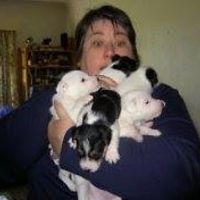 trish_frostcopping avatar