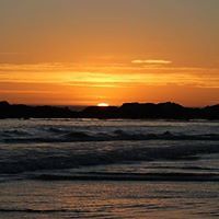 anette_dupreez avatar