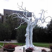 barbara_ellingsworth_1 avatar