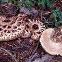 hilary_burgess1 avatar