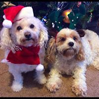 matilda_tummarello avatar