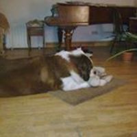 kate_price_56232 avatar