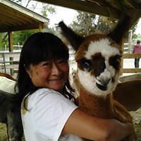 amy_kungoliver avatar