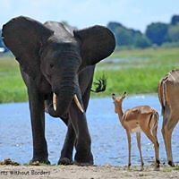 54b7505f4b679 avatar