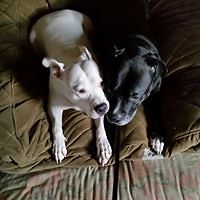 jacqueline_daly_338 avatar