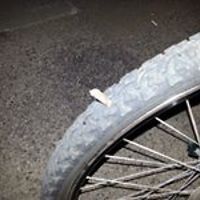 chris_vail_547 avatar