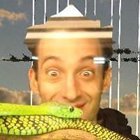 pinheirocosta avatar