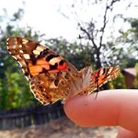 zait_anamaria avatar