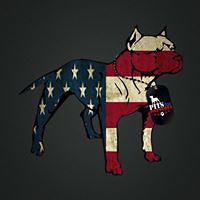 54b838a4f3616 avatar