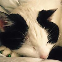 amy_peters_54 avatar